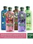 Aloe + Argan + Gül + Hindistan Cevizi + Lavanta Şampuan 5 x 350 ml 1