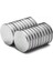 Neodyum Mıknatıs Magnet Yuvarlak 30X3 mm ( 3 cm Çap - 3 mm Kalınlık ) 2