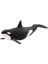 14807 Orka 1
