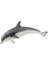 Wild Life Yunus 1