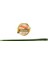Grl Japanese Ryoshichi Green Suni Yem (Shrimp) 1