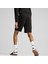 Evostripe Shorts Erkek Şort 2