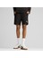 Evostripe Shorts Erkek Şort 5