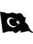 Türk Bayrağı 5 Oto Kaput Sticker 45 x 30 cm 2