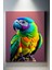 Hayvan Temalı, Mutlu Papağan TABLO-139 1