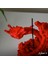 H3D Design Çift Başlı Ejderha Desenli Dekoratif Tütsülük 1