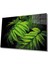 Miyrem Glasses Collection -A1^# Su Damlası Yeşil Yapraklar Cam Tablo, Cam Tablo 1