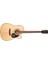 AD880CENAT Elektro Akustik Gitar 1
