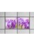 60X60 LED Panel Aydınlatma Armatür Avize Sıva Altı Desenli 1x2 Ikili Grup 46510889SA 3