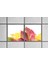 60X60 LED Panel Aydınlatma Armatür Avize Sıva Altı Desenli 1x2 Ikili Grup 46510979SA 3