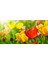 60X60 LED Panel Aydınlatma Armatür Avize Sıva Altı Desenli 1x2 Ikili Grup 46511119SA 4