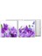 60X60 LED Panel Aydınlatma Armatür Avize Sıva Altı Desenli 1x2 Ikili Grup 46510872SA 2
