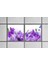 60X60 LED Panel Aydınlatma Armatür Avize Sıva Altı Desenli 1x2 Ikili Grup 46510872SA 3