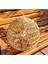 Ahşap Bohem Modern Rattan Bambu Hasır Özel Üretim Avize (Duy Dahil) Klasik Ekru Antre / Hol E27 1 1