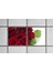 60X60 LED Panel Aydınlatma Armatür Avize Sıva Altı Desenli 1x2 Ikili Grup 46510703SA 3