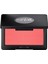 Artist Face Powders B310 - Allık 1
