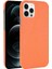 IPhone 12 Pro Max Anti Scratch Klasik Timsah Için Şık Klasik Kılıf (Yurt Dışından) 1