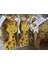 Zürafa Mum 15 Adet,doğum Günü Hediyesi,bebek Mevludu,sünnet Hatırası,babyshower,yenidoğan Hediyelik Mum 7