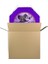 Halloween Cadı Kedi Pinyata 42 cm + Sopası 2