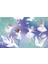 Sticker Dolly Dressing Ballet Fairies - Sticker Dolly Dressing 3