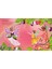 Sticker Dolly Dressing Ballet Fairies - Sticker Dolly Dressing 4