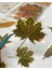 Nature Notes Series The Moment Of Fallıng Leaves 40 Adet Altın Yaldızlı Şeffaf Pet Sticker 4