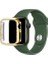 Apple Watch 7 45MM Uyumlu Zore Watch Gard 05 Sert Pc Koruyucu, Gold 2