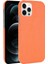 IPhone 12 Pro Max Anti Scratch Klasik Timsah Için Şık Klasik Kılıf (Yurt Dışından) 1