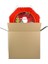 Yılbaşı Noel Baba Pinyata 42 cm + Sopası 2
