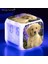 Çoklu Labrador Retriever 7 Renk Değişen LED Çalar Saat Çocuk Odası Uyandırma Zamanlayıcısı Taşınabilir Masa Saati Pet Köpek Çocuk Oyuncakları Hediyeler (Yurt Dışından) 2