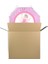 Balerin Temalı Pinyata 42 cm + Sopası 2