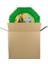Safari Pinyata 42 cm + Sopası 2