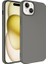 Apple iPhone 15 Plus Uyumlu Kılıf Zore Lsr Lansman Kapak, Titanyum 1