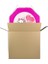 Pembe Kedi Pinyata 42 cm + Sopası 2