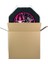 Monster High Pinyata 42 cm + Sopası 2