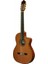 NAC4-SHC Elektro Gitar 1