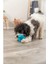 Naturel Kauçuk Köpek Oyuncağı Ödül Hazneli 12 cm 3