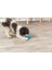 Naturel Kauçuk Köpek Oyuncağı Ödül Hazneli 12 cm 4