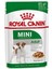 Shn Mını Adult Yetişkin Köpek Maması 12X85 gr 1