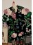 Tropikal Yaşam Papağanın Rüyası Boho Kemer Arch Sanatsal Duvar Sticker 1