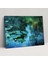 Nilüferler Kanvas Tablo - Claude Monet, Claude Monet Stili, Kanvas Tablo, Duvar Sanatı, 50X30 cm 1