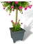 Bonsai Dekoratif Yapay Ağaç Pembe Mineli Bonzai 50*25CM 5