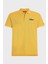 Tommy Hilfiger Pamuklu Regular Fit Erkek Polo Yaka T-Shirt MW0MW35603 Ze1 4