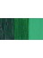 Graduate Akrilik Boya 500ML 343 Hookers Green 1