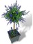 Bonsai Dekoratif Yapay Ağaç Mor Lavantalı Bonzai 48*25CM 5