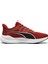 Reflect Lite 2