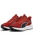 Reflect Lite 3