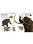 Knowledge Encyclopedia Dinosaur! 5