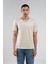 Taş Erkek Basic Tshirt| EE10006959 3