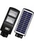 300W Solar Sokak Armatürü Siyah Gövde 6500K IP65 1